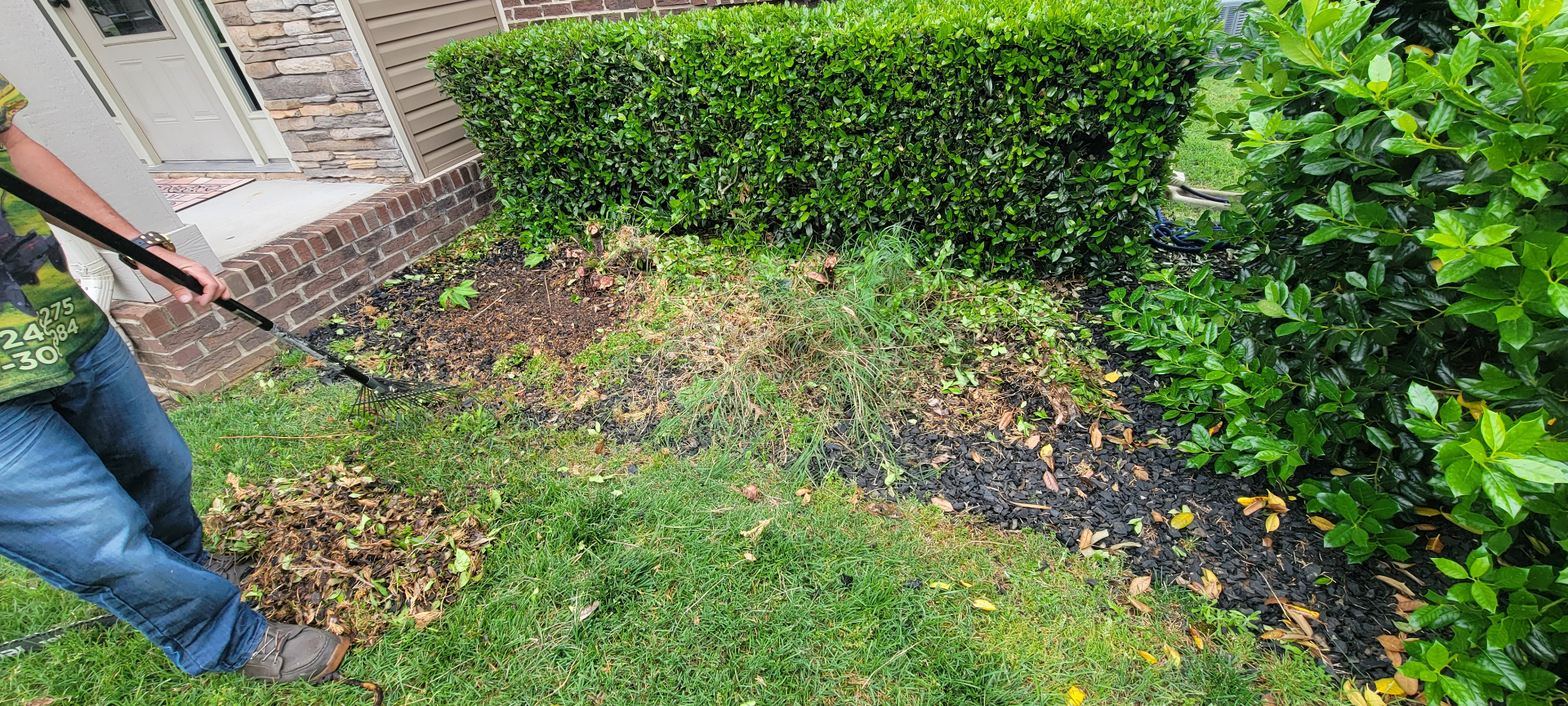 Overgrown flower bed with debris before cleanup in Clarksville TN