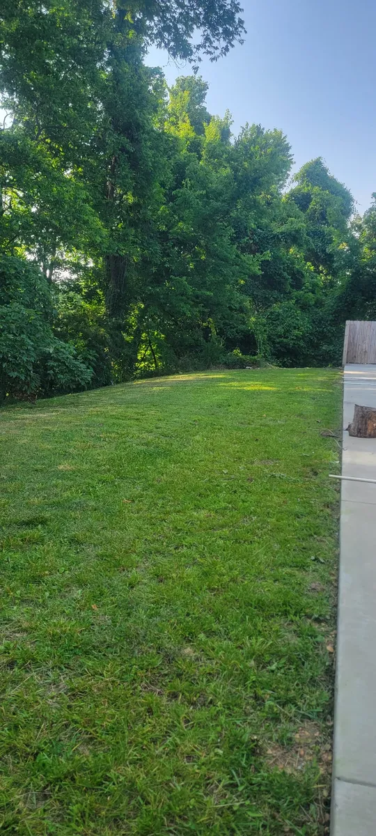 After residential lawn makeover: freshly mowed backyard lawn with clean edges in Clarksville, TN by Green Sky Solutions