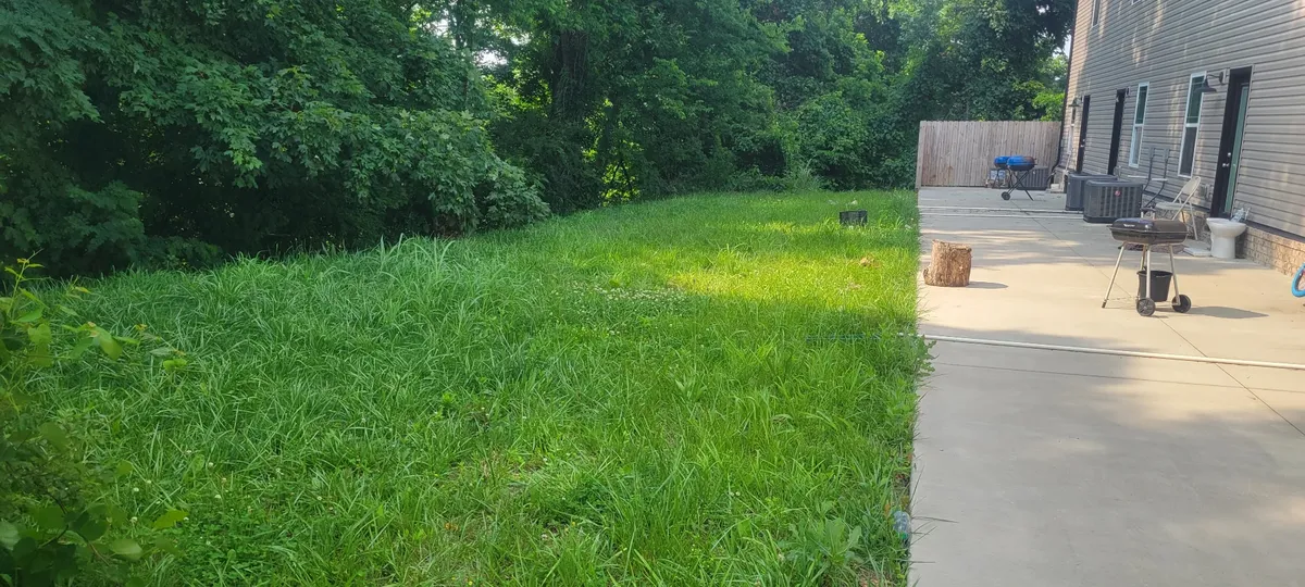 Before residential backyard cleanup: overgrown lawn with tall grass and weeds in Clarksville, TN