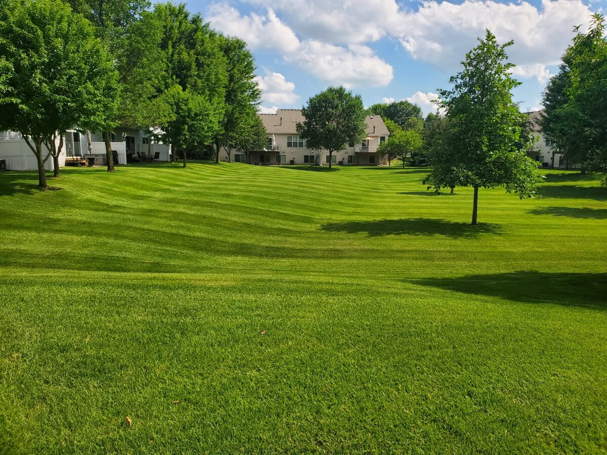 Freshly mowed lawn with crisp light and dark stripes between residential townhomes in Clarksville, TN by Green Sky Solutions